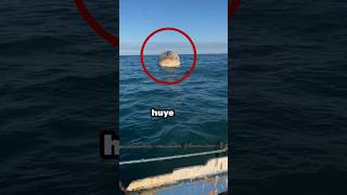 Si ves esto huye 😧