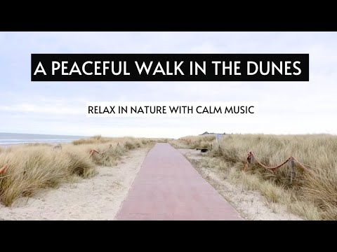A Walk in The Sand Dunes Of Texel Island | Calming Music | Relaxing Nature Video - Stress Relief