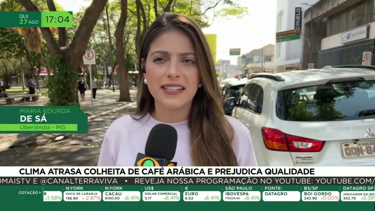 Clima atrasa colheita de café arábica e prejudica qualidade