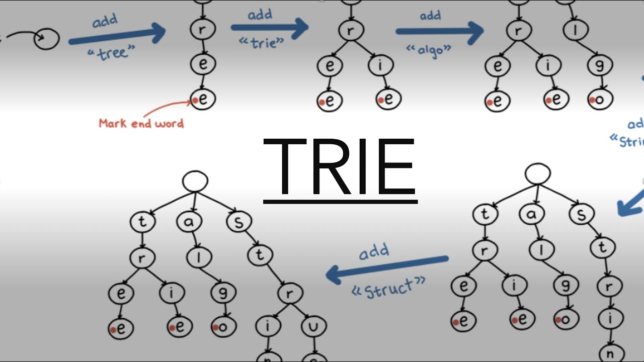 Trie - Introduction and Memory Representation | Data Structures | Trie