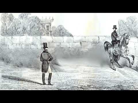 Náhled pro video reference