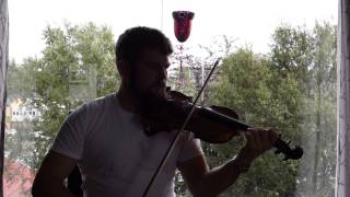 Irish fiddle - The Sally Gardens