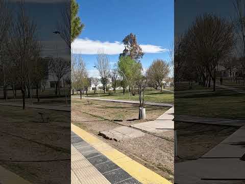 PLOTTIER NEUQUÉN PORQUÉ ES MEJOR DE CERCA