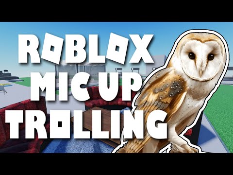Owl Causes Chaos in Voice Chat | Roblox Mic Up Trolling