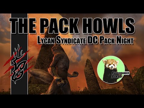 THE WEREWOLF PACK HOWLS! Lycan Syndicate DC Werewolf Pack Night Highlights - ESO Werewolf PVP
