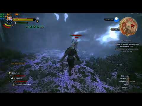The witcher : wild hunt - Euphoria build INSANE damage