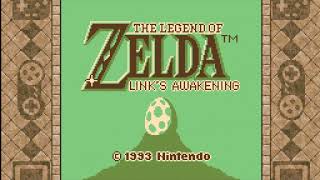 The Legend of Zelda - Link's Awakening Game Boy Octorok Lightning Glitch