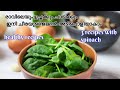 variety spinach recipes malayalam | spinach omlette | spinach dal | spinach snack | EP - 258