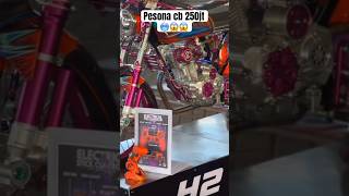 Download lagu KONTES CB FULL BILET 😱🥶#shorts #shortvideo #trending #cbjatim #herex #viral #viralvideo #fyp mp3