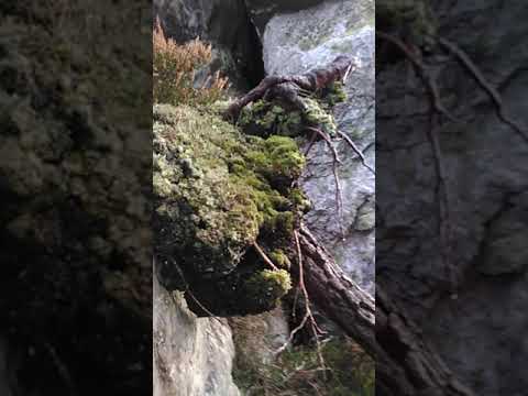 Unfrequented, Unexplored Nature. France. #outdoors #wilderness #france