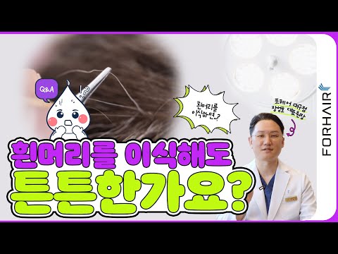 흰머리를 이식했는데 괜찮을까?ㅣ포헤어 대구