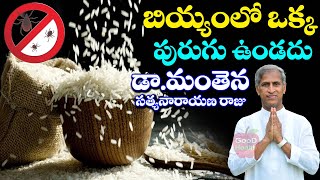 బియ్యంలో ఒక్క పురుగు ఉండదు ! | Get Ride Of Rice Bugs | Dr Manthena Satyanarayana Raju | GOOD HEALTH