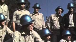 NERVES JUNIOR - KALE