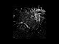 Shagnum Full Album 2005 Grindcore Sludge Metal