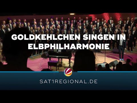 Hamburger Goldkehlchen geben Weihnachtskonzert in der Elbphilharmonie