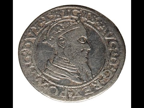 21670 Czworak 1565 Zygmunt II August Litwa Wilno