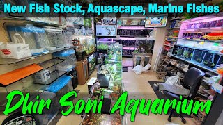 Dhirsoni Aquarium & Pets Store I New Fish Stock and Plants Stock