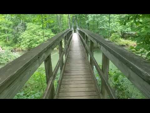 AT Day 62: 17.9 mi to MM 616 Campsite by Dismal Creek