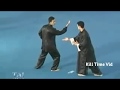 Funniest Tai Chi Masters Fighting