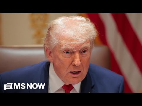 'These accusations are not correct': EU diplomat knocks Trump's comments on NATO