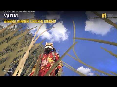 PUBG Kitty Kat Mans MG3 Goes Hog Wild WWCD