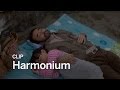 HARMONIUM Clip Festival 2016