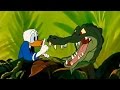 DONALD DUCK All Cartoon Full Episodes New English Compilation 2015