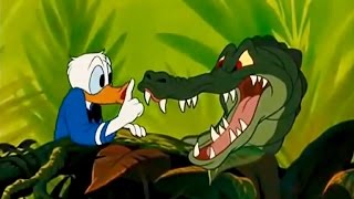 DONALD DUCK All Cartoon Full Episodes New English ...