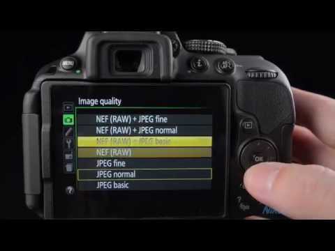 Nikon D5300 Review & Tutorial