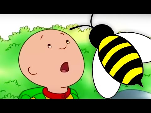 Caillou and the Bee | Caillou Cartoon