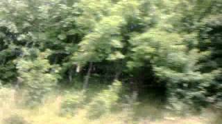 Angel of the North 2013