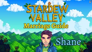 Stardew Valley Marriage Guide - Shane