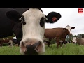 Drenthe Nu 26 september