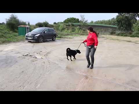 Vídeo de KYARA
