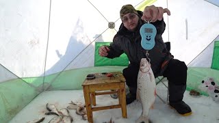 Рыбалка на неве у орешка для золушки