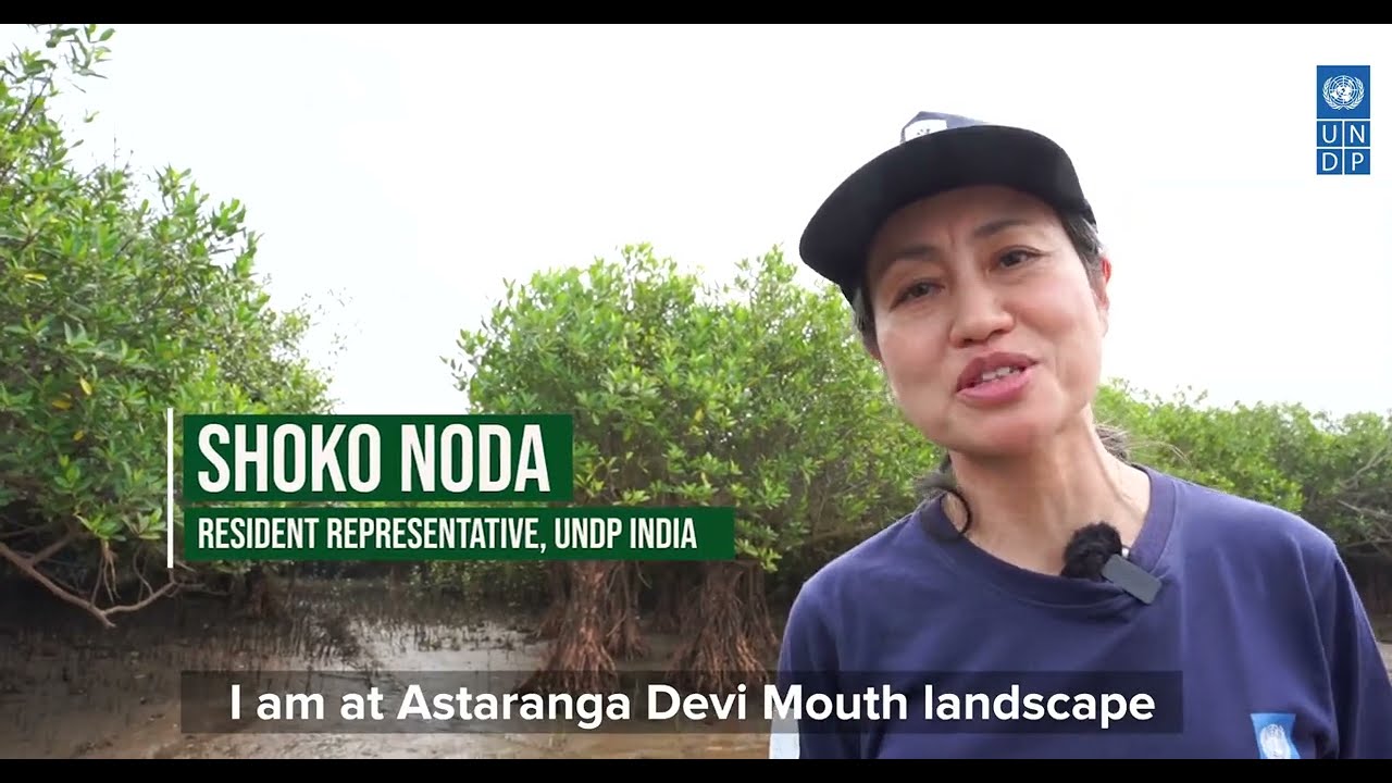 Restoring mangroves and supporting coastal communities in Odisha, India #ForPeopleForPlanet