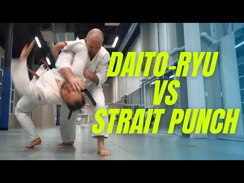 Daito-ryu techniques vs straight punch