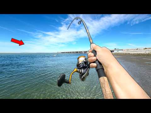 Fishing NEW Shore Spots.. Caught a BIG One! (Catch and Cook)