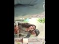 Snegithane Song Status Idhe Alutham Alutham Idhe Anaipu Anaipu Status