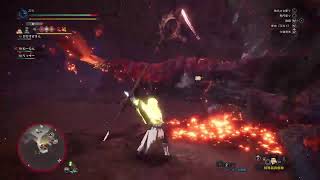 【飲み配信】mhw