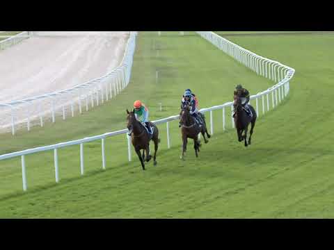 2019.09.22. 07. futam - IN MEMORIAM EMLÉKFUTAM (II.o.)