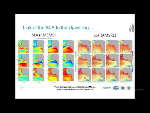 MSProadmap / CAMEROON - Presentation by Franck Ghomsi