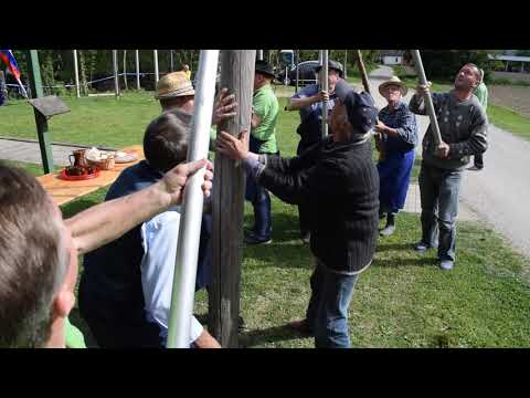 Postavitev mlaja (majpuna) Turističnega društva Cven