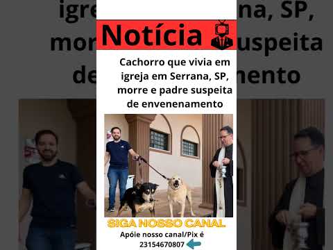 Cachorro que vivia em igreja em Serrana, SP, morre e padre suspeita de envenenamento #noticias