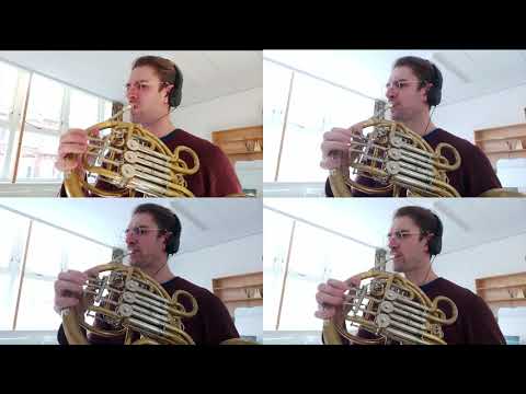 G. Bizet - Carmen suite (HOME ISOLATION CHALLENGE)