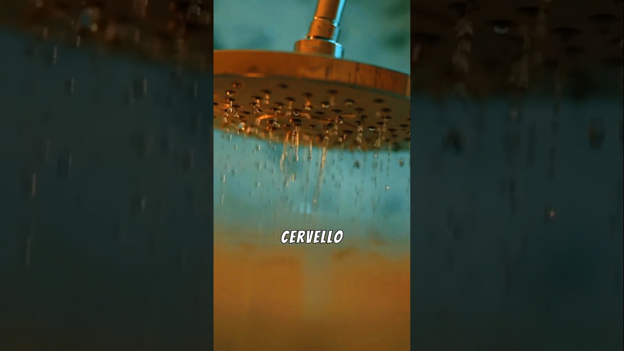 Ti senti più INTELLIGENTE sotto la DOCCIA? È VERO! 🚿