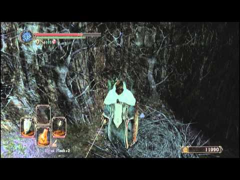 Dark Souls 2: Birds Nest