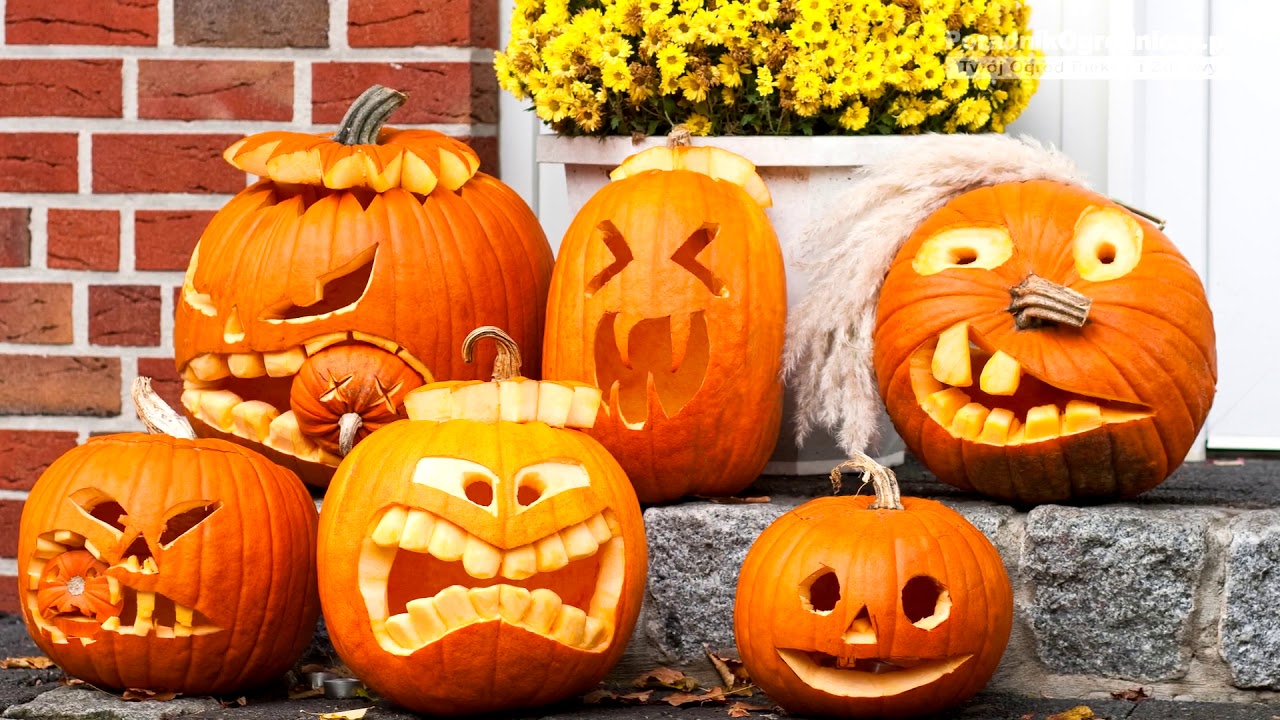 Ozdoby na Halloween do ogrodu. Niektóre są bajkowe!