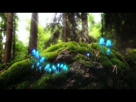 afbeelding Nature Bump #3