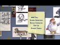 DVD Menu Start Up 5 Toy Story 1 And 2 2010 Special Edition PAL Versions 11 11 24